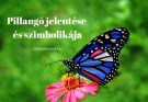 pillangó jelentése és szimbolikája