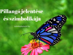 pillangó jelentése és szimbolikája