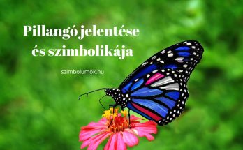 pillangó jelentése és szimbolikája