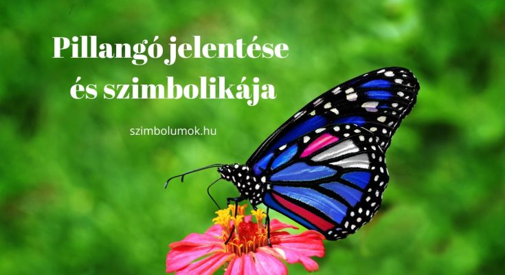 Pillangó jelentése és szimbolikája - Szimbolumok.hu