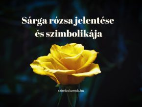 sárga rózsa jelentése szimbolikája