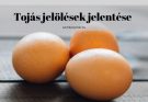 Tojás jelölések jelentése