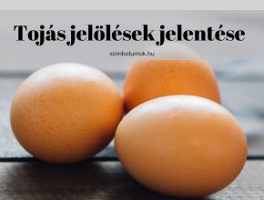 Tojás jelölések jelentése