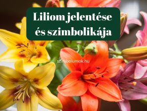 liliom jelentése és szimbolikája