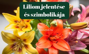 liliom jelentése és szimbolikája