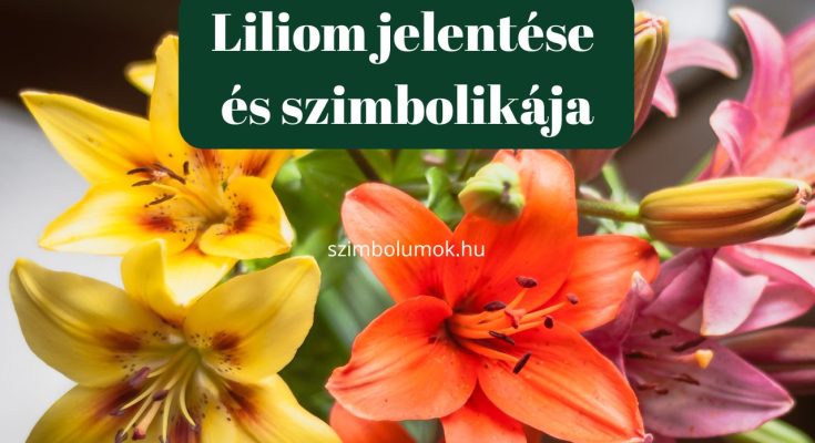 liliom jelentése és szimbolikája