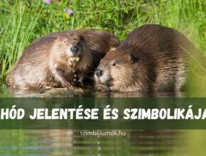 hód jelentése szimbolikája