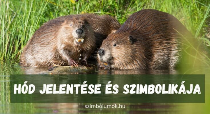 hód jelentése szimbolikája