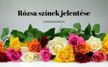 rózsa színek jelentése