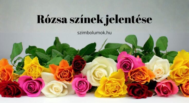 rózsa színek jelentése