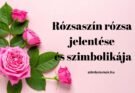 rózsaszín rózsa jelentése