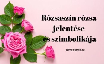 rózsaszín rózsa jelentése