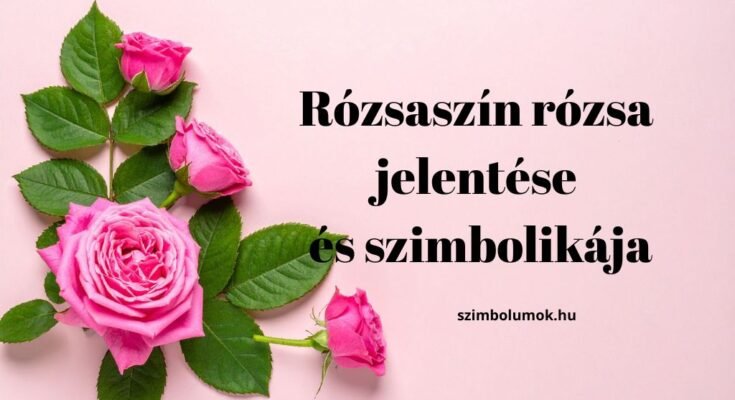 rózsaszín rózsa jelentése