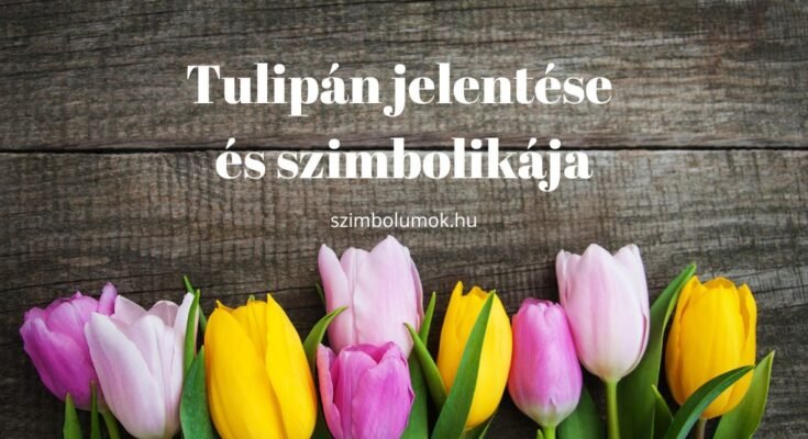 tulipán jelentése és szimbolikája