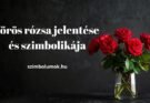 vörös rózsa jelentése és szimbolikája