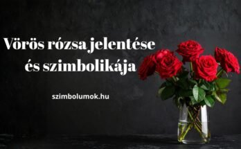 vörös rózsa jelentése és szimbolikája